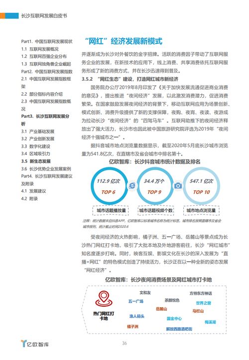 湘江潮涌 2020年長沙互聯(lián)網(wǎng)發(fā)展白皮書中的軟件與開發(fā)力量
